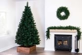 The Majestic Dew Pine Tree (3ft to 10ft)