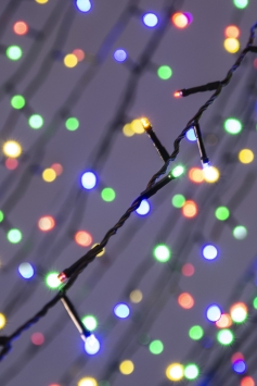 1000 Multi function LED Lights - Multicolour